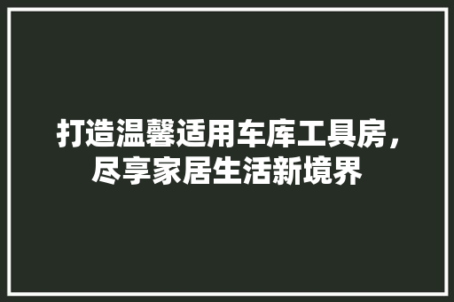 打造温馨适用车库工具房，尽享家居生活新境界 中式风格装饰