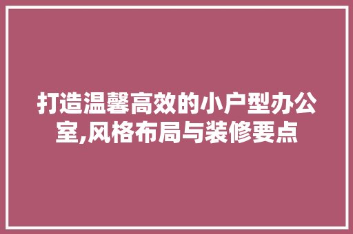 打造温馨高效的小户型办公室,风格布局与装修要点 客厅装修