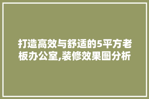 打造高效与舒适的5平方老板办公室,装修效果图分析与启示 家居装修