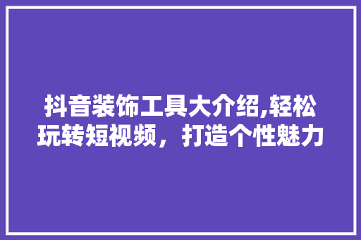 抖音装饰工具大介绍,轻松玩转短视频，打造个性魅力瞬间 地板材料