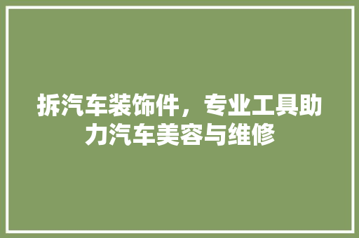 拆汽车装饰件，专业工具助力汽车美容与维修