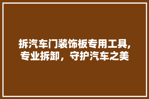 拆汽车门装饰板专用工具,专业拆卸，守护汽车之美 软装设计