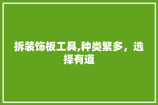 拆装饰板工具,种类繁多，选择有道 客厅装修
