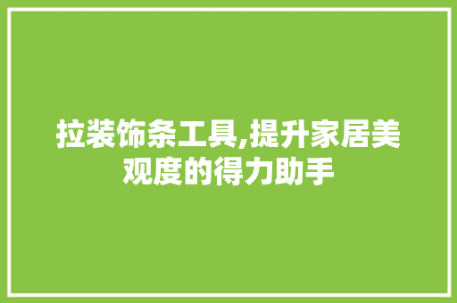 拉装饰条工具,提升家居美观度的得力助手 室内设计