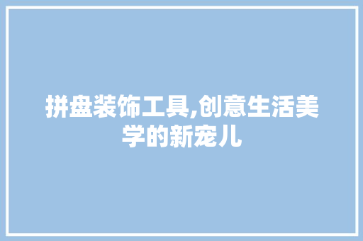 拼盘装饰工具,创意生活美学的新宠儿 现代风格装饰