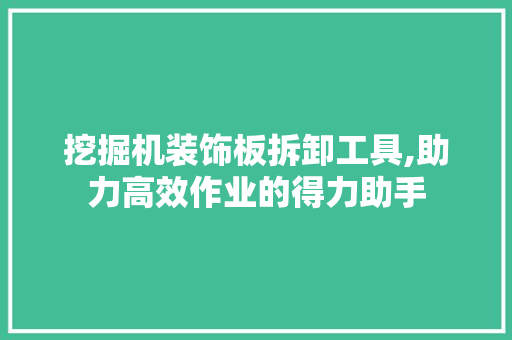 挖掘机装饰板拆卸工具,助力高效作业的得力助手 地板材料