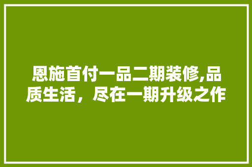 恩施首付一品二期装修,品质生活，尽在一期升级之作