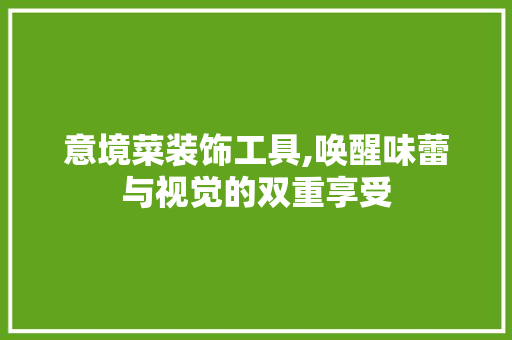 意境菜装饰工具,唤醒味蕾与视觉的双重享受