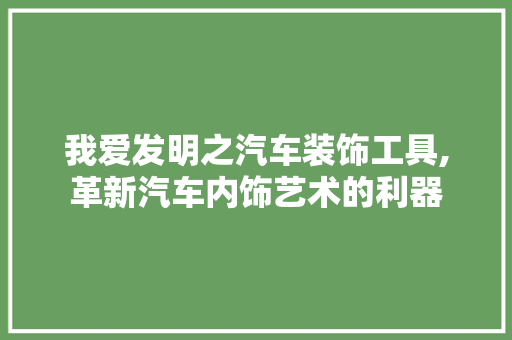 我爱发明之汽车装饰工具,革新汽车内饰艺术的利器 现代风格装饰