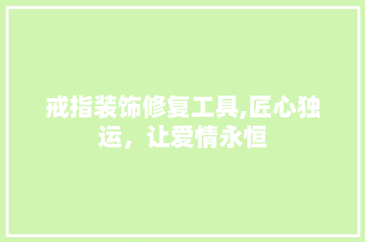 戒指装饰修复工具,匠心独运，让爱情永恒 软装设计