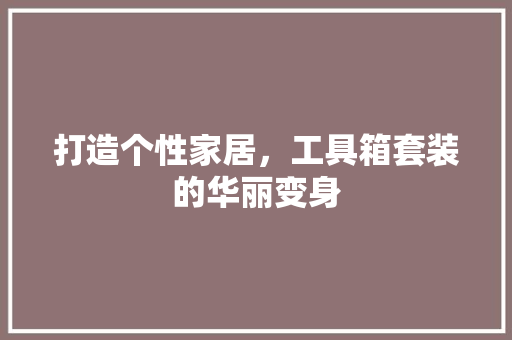 打造个性家居，工具箱套装的华丽变身 室内设计