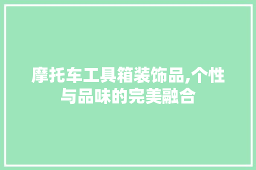 摩托车工具箱装饰品,个性与品味的完美融合 软装设计
