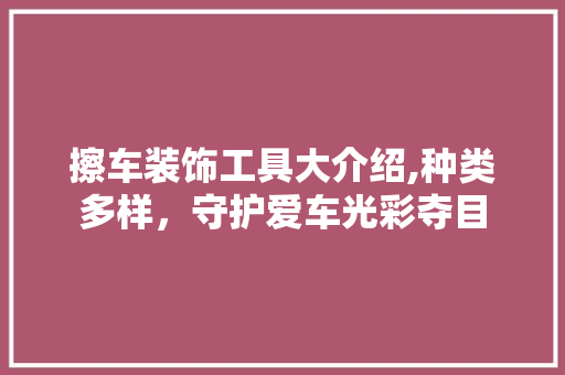 擦车装饰工具大介绍,种类多样，守护爱车光彩夺目