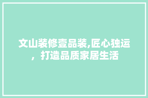 文山装修壹品装,匠心独运，打造品质家居生活 现代风格装饰