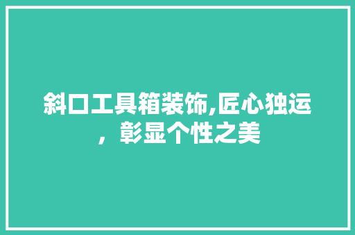 斜口工具箱装饰,匠心独运，彰显个性之美 中式风格装饰