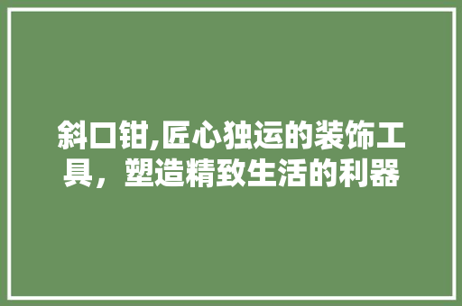 斜口钳,匠心独运的装饰工具，塑造精致生活的利器 客厅装修