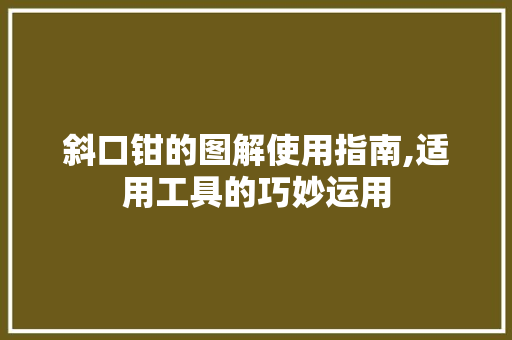 斜口钳的图解使用指南,适用工具的巧妙运用 中式风格装饰