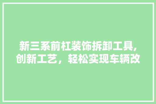 新三系前杠装饰拆卸工具,创新工艺，轻松实现车辆改装 家居装修