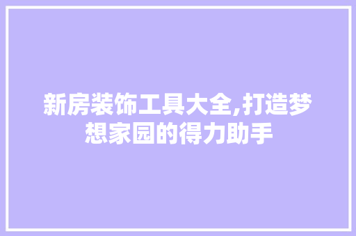 新房装饰工具大全,打造梦想家园的得力助手 卧室装修
