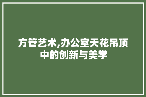 方管艺术,办公室天花吊顶中的创新与美学 中式风格装饰