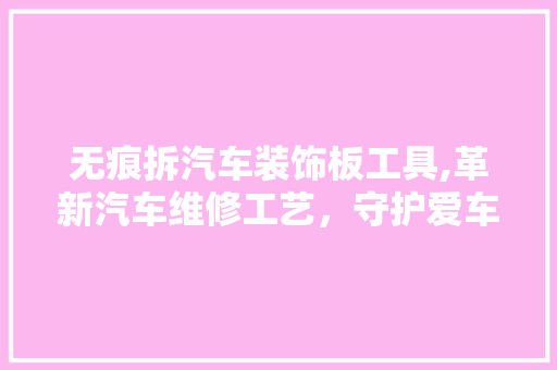 无痕拆汽车装饰板工具,革新汽车维修工艺，守护爱车原装之美 木雕艺术