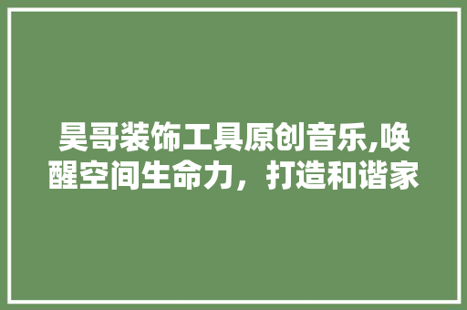 昊哥装饰工具原创音乐,唤醒空间生命力，打造和谐家居美学 现代风格装饰