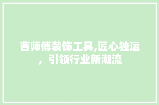 曹师傅装饰工具,匠心独运，引领行业新潮流 现代风格装饰