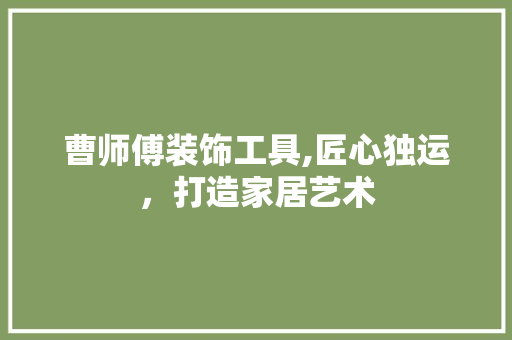 曹师傅装饰工具,匠心独运，打造家居艺术 客厅装修