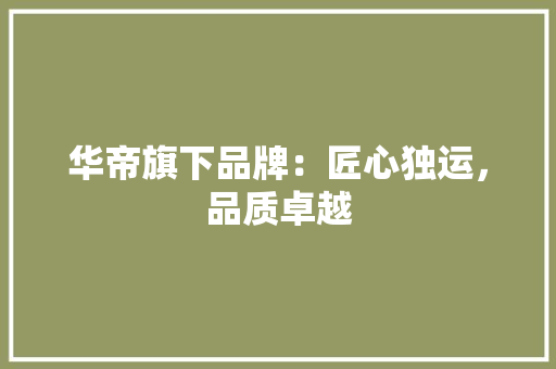 华帝旗下品牌：匠心独运，品质卓越 家居装修