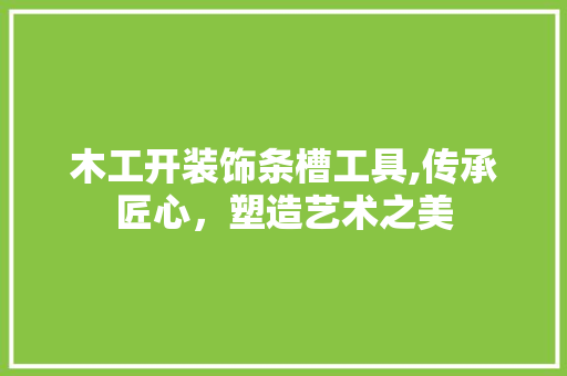 木工开装饰条槽工具,传承匠心,塑造艺术之美 现代风格装饰 木工开装饰条槽工具,传承匠心,塑造艺术之美 现代风格装饰
