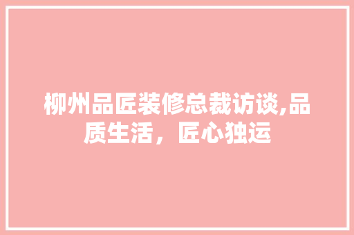 柳州品匠装修总裁访谈,品质生活，匠心独运