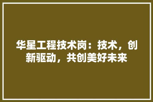 华星工程技术岗：技术，创新驱动，共创美好未来 家居装修