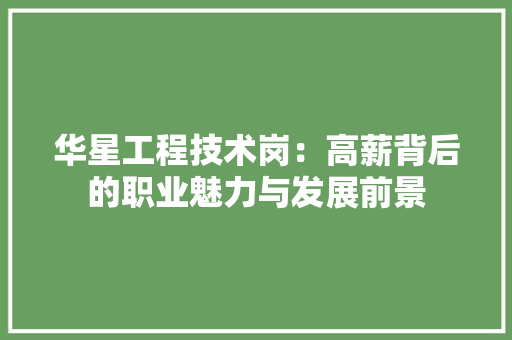 华星工程技术岗：高薪背后的职业魅力与发展前景 家居装修