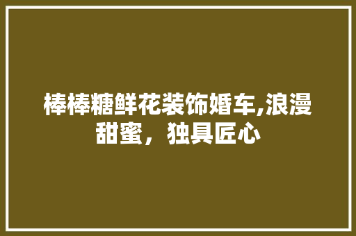 棒棒糖鲜花装饰婚车,浪漫甜蜜，独具匠心 室内设计