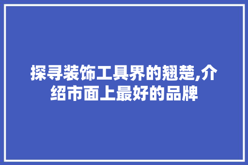 探寻装饰工具界的翘楚,介绍市面上最好的品牌 现代风格装饰