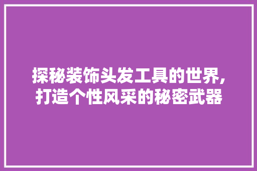 探秘装饰头发工具的世界,打造个性风采的秘密武器 客厅装修