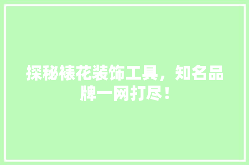 探秘裱花装饰工具，知名品牌一网打尽！ 木雕艺术