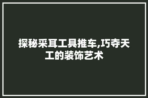探秘采耳工具推车,巧夺天工的装饰艺术 家居装修