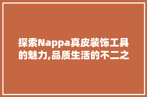 探索Nappa真皮装饰工具的魅力,品质生活的不二之选 中式风格装饰