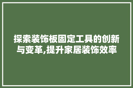 探索装饰板固定工具的创新与变革,提升家居装饰效率与品质 室内设计