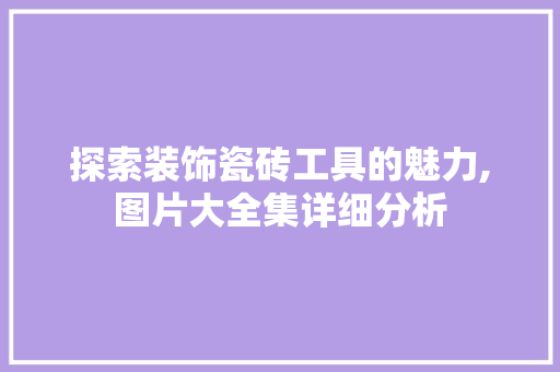 探索装饰瓷砖工具的魅力,图片大全集详细分析 现代风格装饰