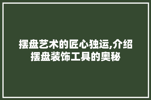 摆盘艺术的匠心独运,介绍摆盘装饰工具的奥秘 现代风格装饰