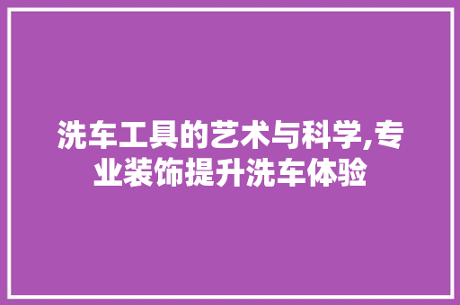 洗车工具的艺术与科学,专业装饰提升洗车体验