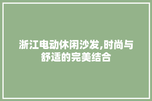 浙江电动休闲沙发,时尚与舒适的完美结合