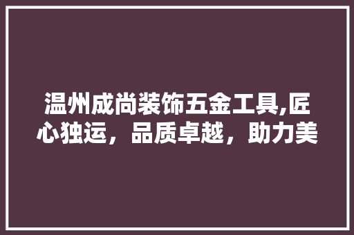 温州成尚装饰五金工具,匠心独运，品质卓越，助力美好家居生活 现代风格装饰