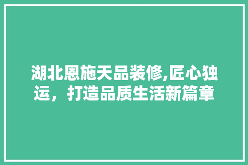 湖北恩施天品装修,匠心独运，打造品质生活新篇章 客厅装修