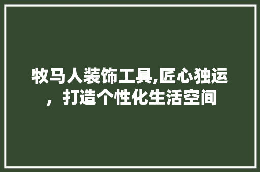 牧马人装饰工具,匠心独运，打造个性化生活空间 中式风格装饰