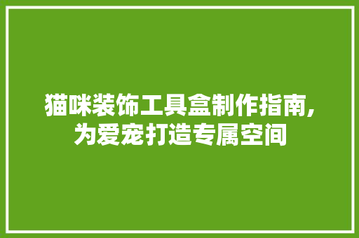 猫咪装饰工具盒制作指南,为爱宠打造专属空间
