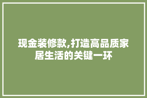 现金装修款,打造高品质家居生活的关键一环 木雕艺术