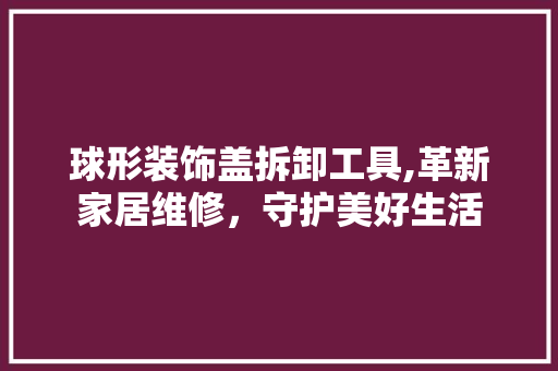 球形装饰盖拆卸工具,革新家居维修，守护美好生活